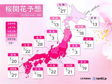 開花|桜開花・満開情報 2024